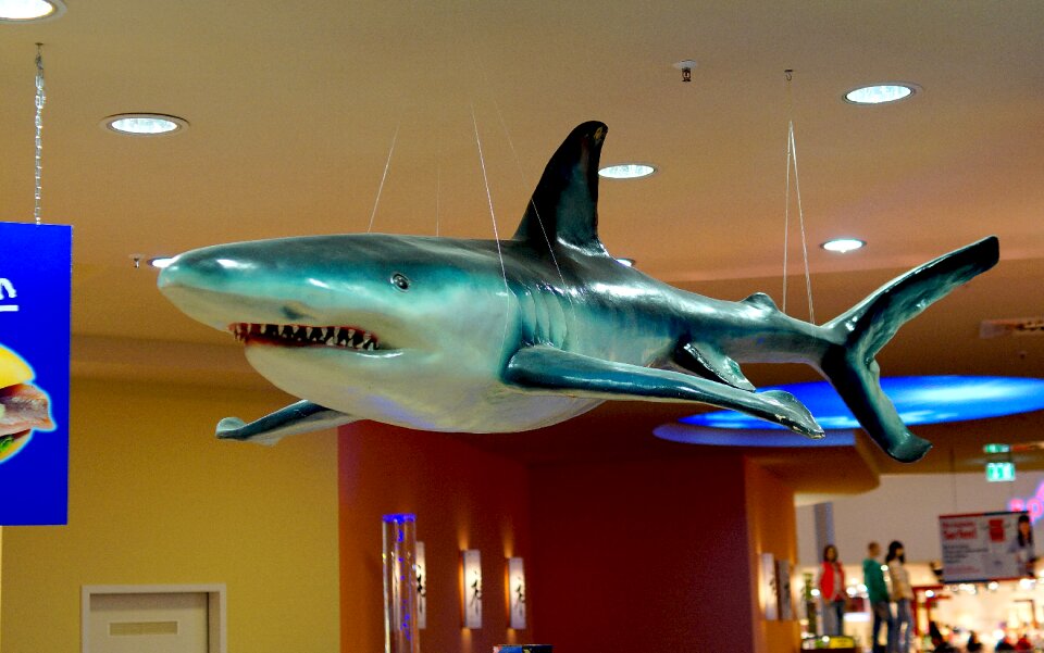 Fish restaurant ornament advertisement