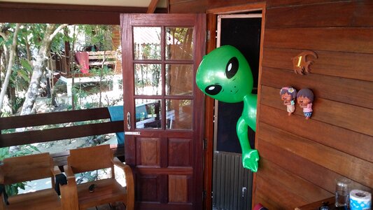 Alie green green male