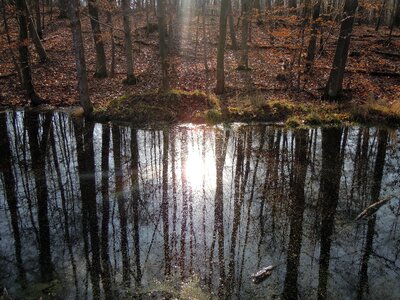 Mirroring backlighting river