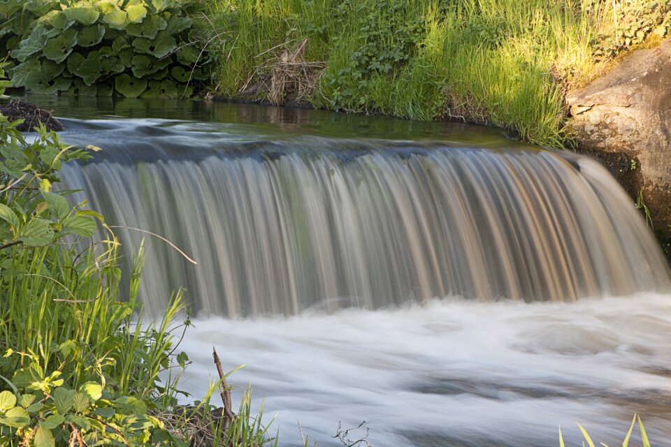 Water green nature
