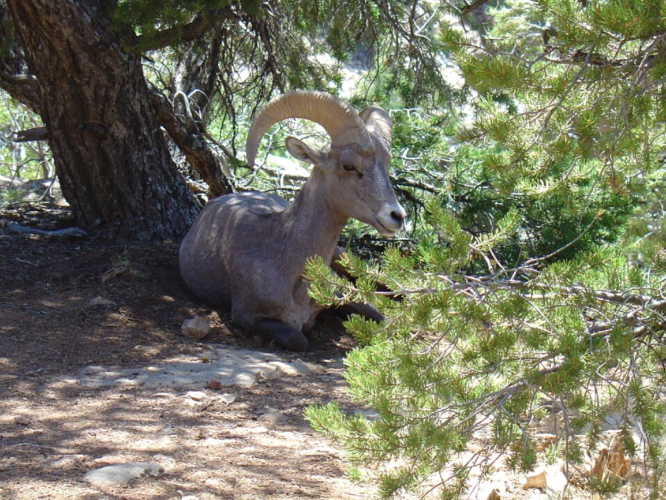 Nature usa national park