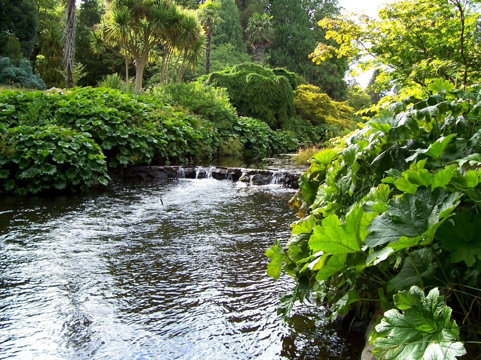 River ireland greenery