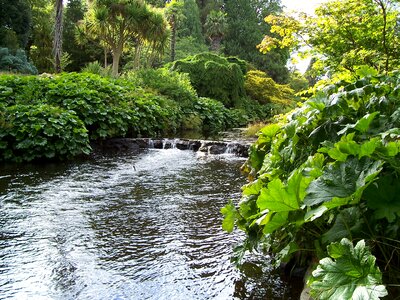 River ireland greenery photo