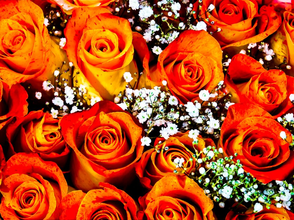 Bunch of flowers nature wedding
