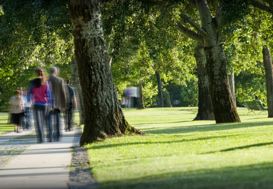 Strolling wandering trees