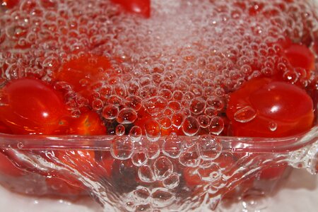 Tomatoes bubble red