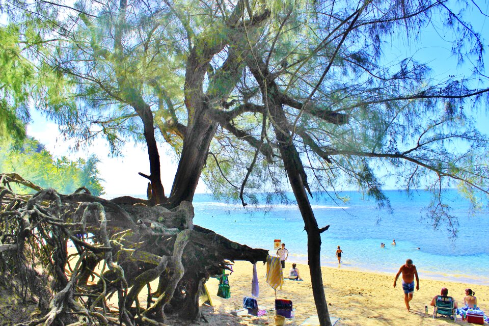 Beach sand vacation