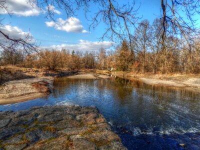 Current water trees