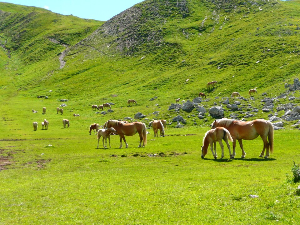 Mountain dolomites fuciade