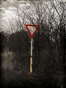 Nature gray landscape