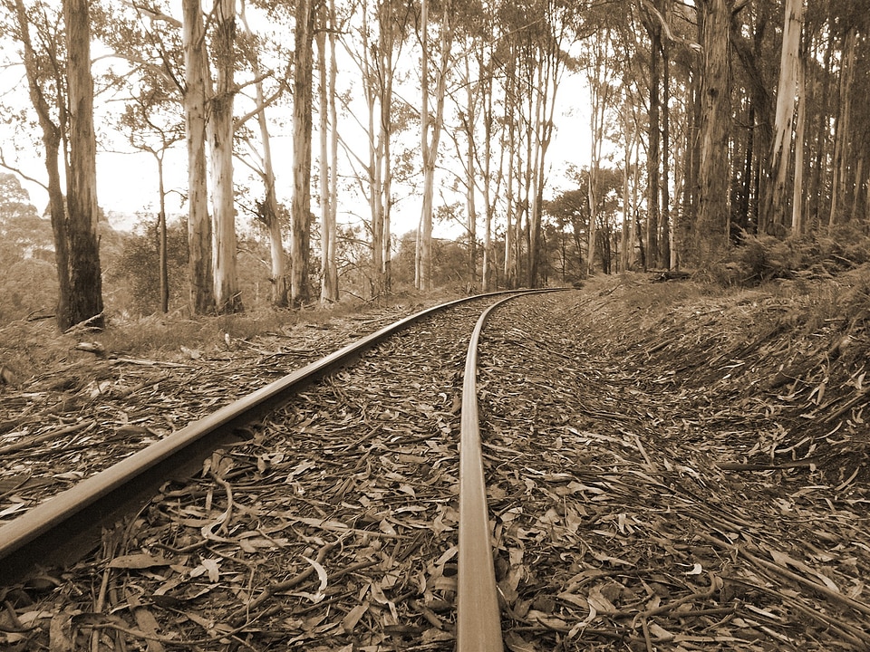 Train steam transportation