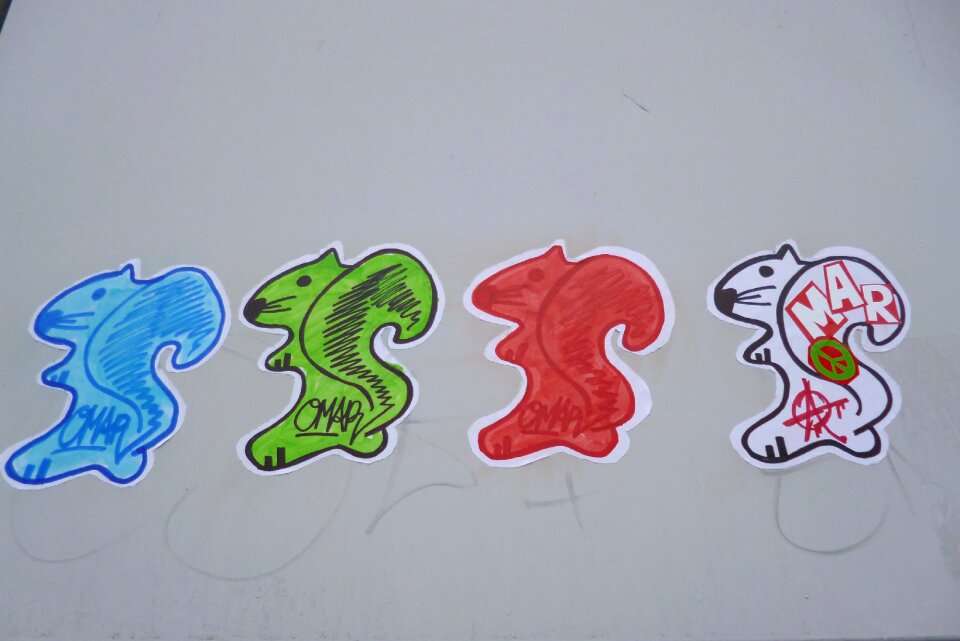 Wall squirrel colorful