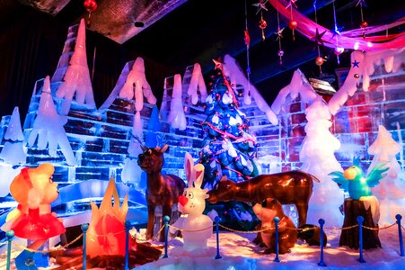 Florida christmas orlando florida