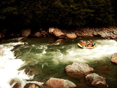 River boat turkey photo