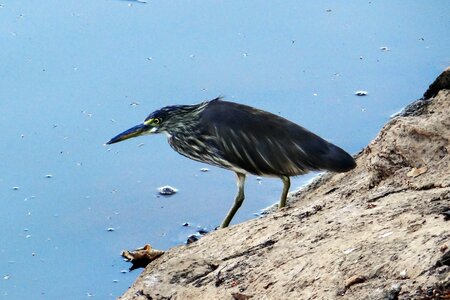 Lake dharwad india photo