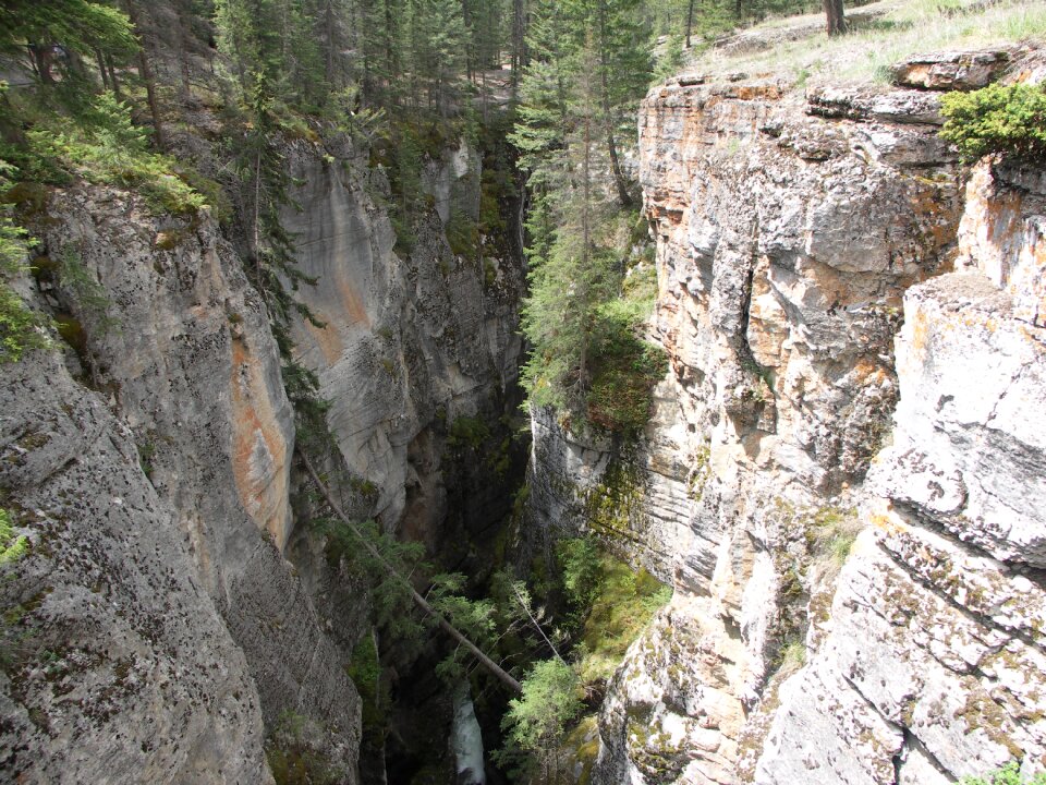 Canyon canada forests