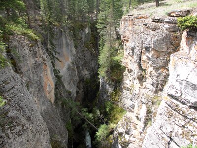 Canyon canada forests