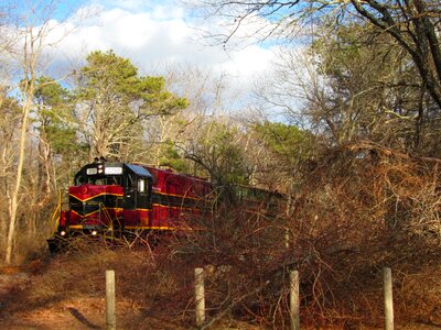 Scenic cape cod winter