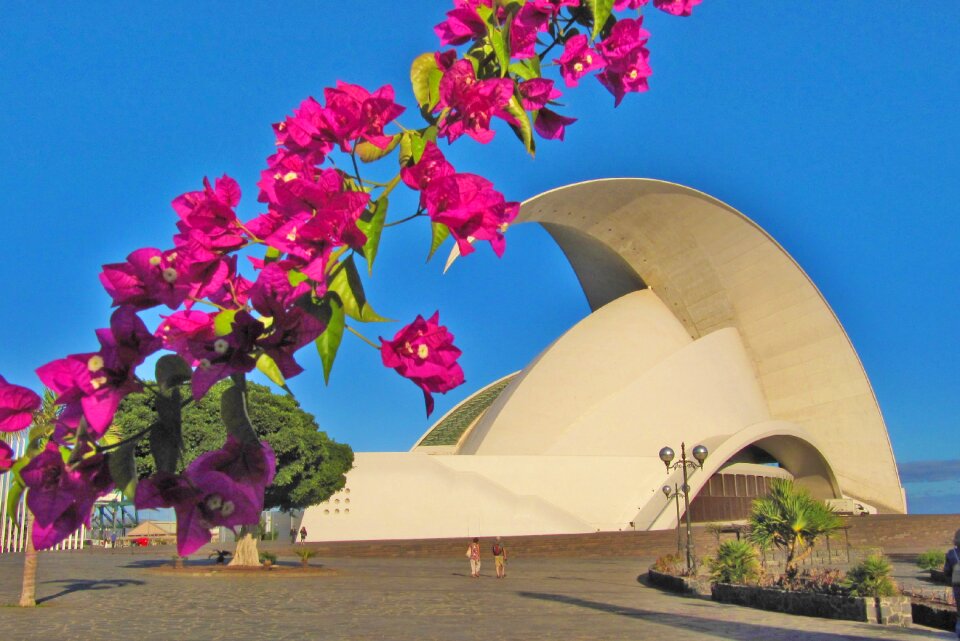 Tenerife opera santa cruz de tenerife