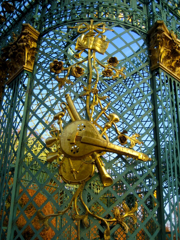 Potsdam palisade golden