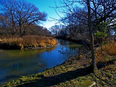 Autumn season leaves photo