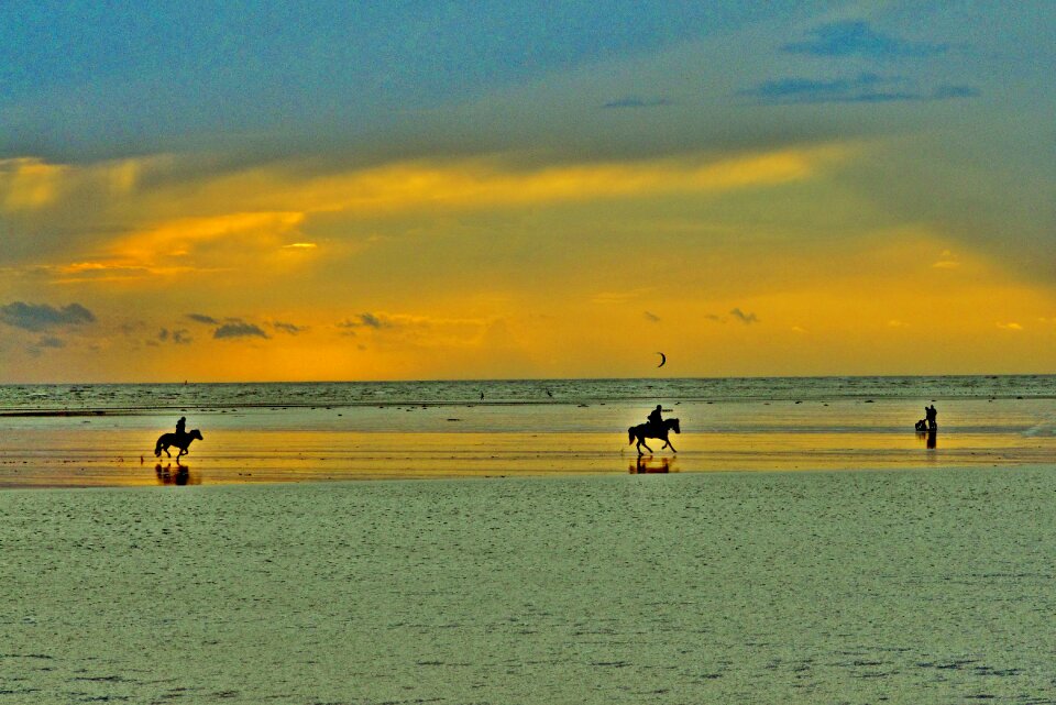 Gallop north sea sunset