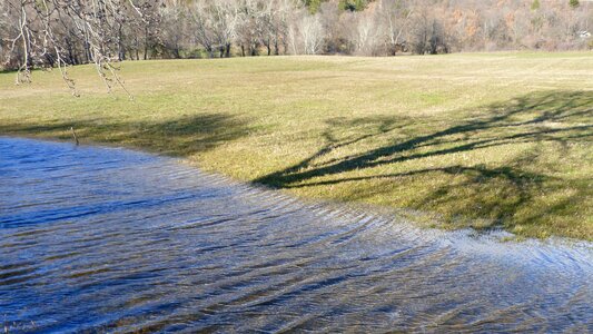 Nature shadows pond photo