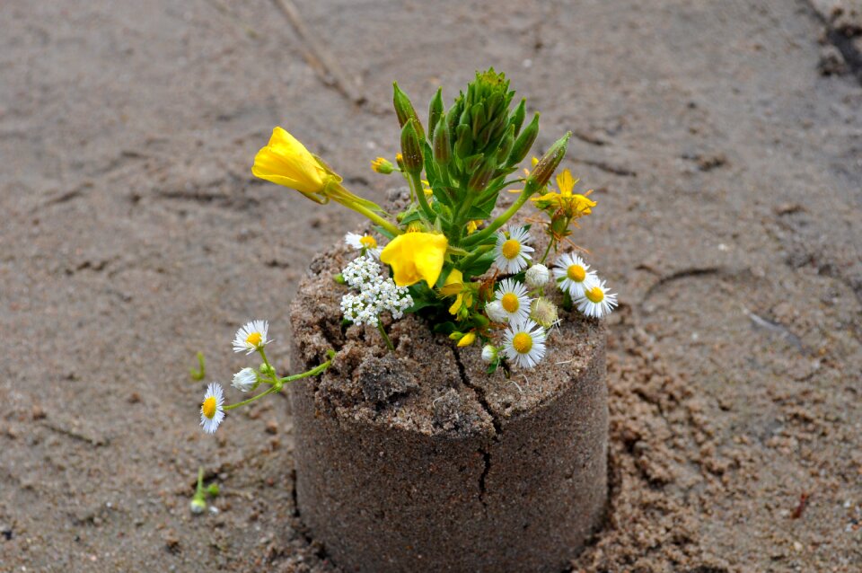 Flowers beach bouquet photo