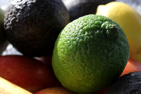Food lemon citrus photo