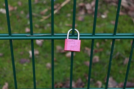 Love padlock fence photo