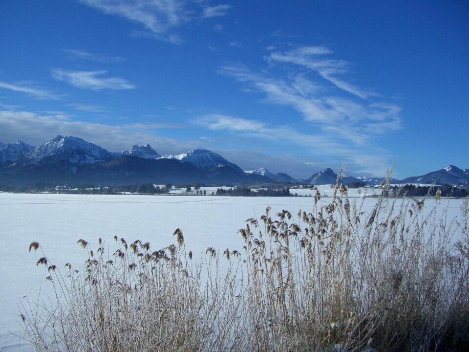 Alpine winter panorama