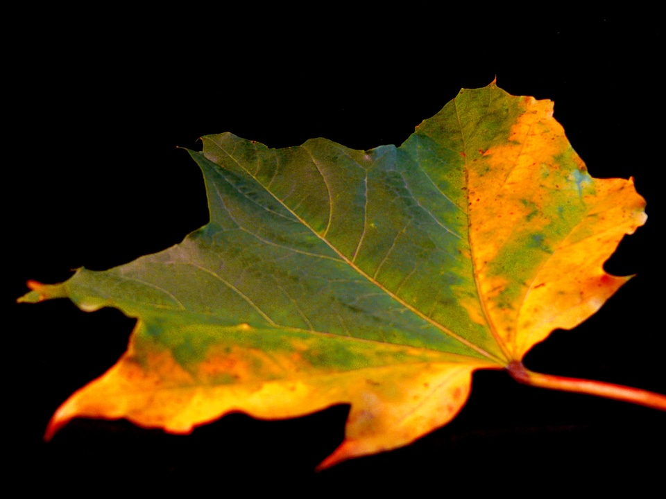 Autumn winter england