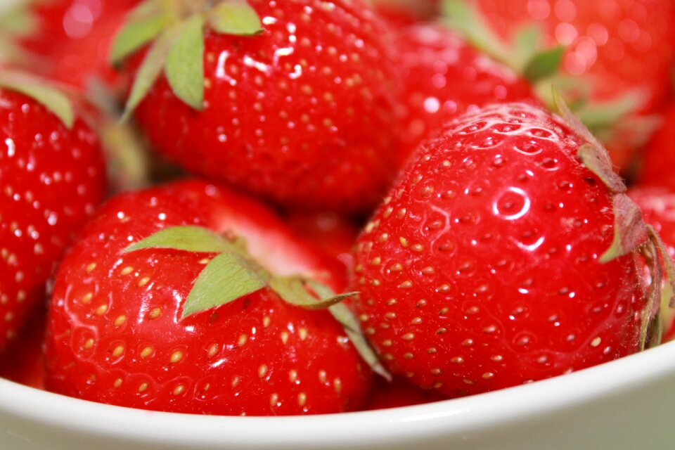 Food fresh red