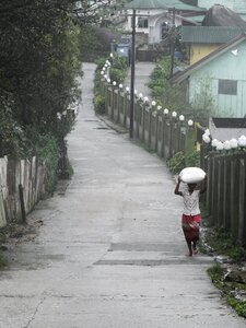 Asia walking alone