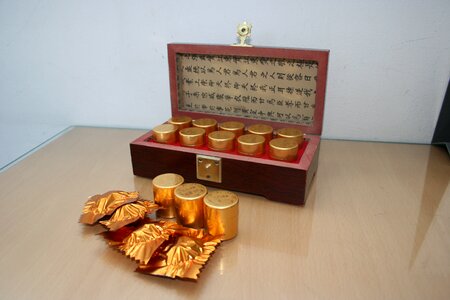 Cordyceps pills dh