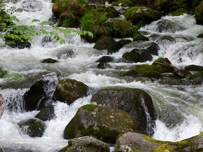 Water courses nature spring photo