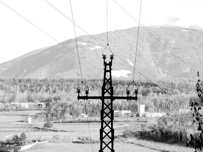 Black and white power poles power line photo