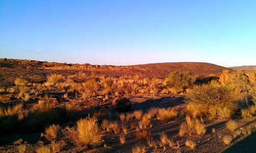 Conservation park game reserve northern cape photo