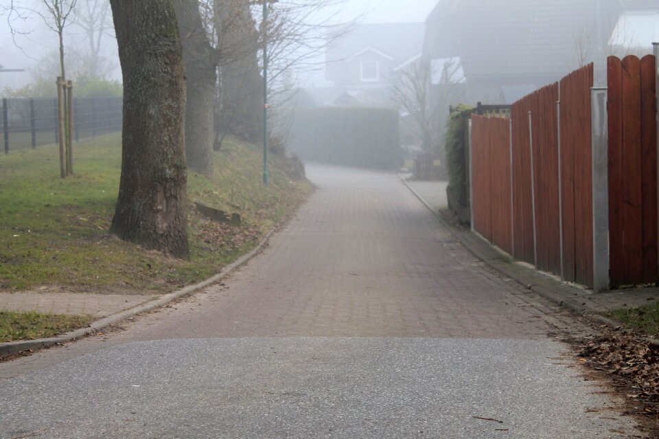 Fog atmosphere morning