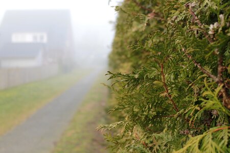 House fog away