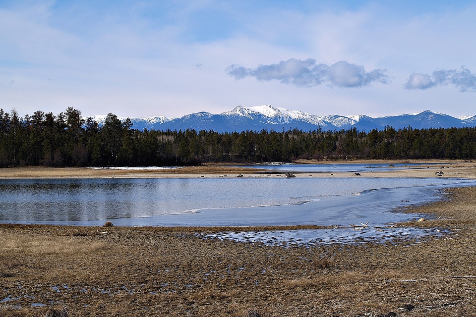 Pond scenery landscape photo