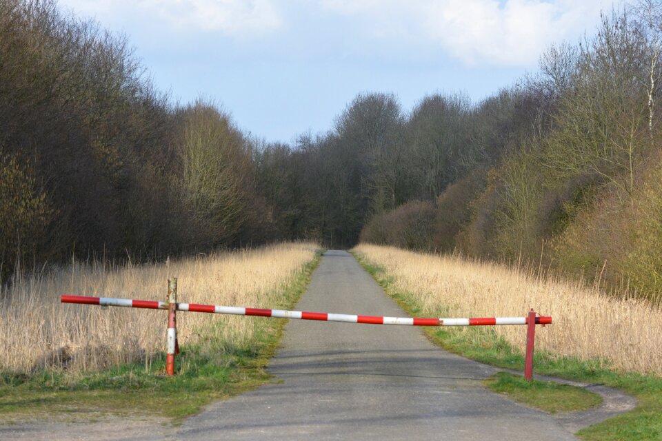 Walking path nature forest