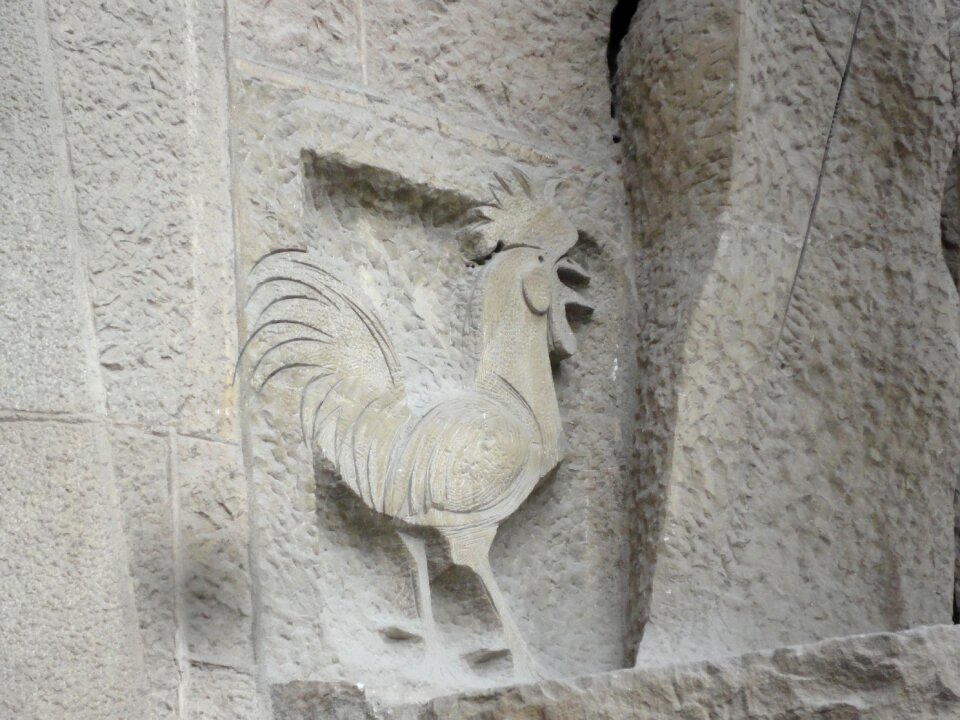 Gaudí sagrada familia cock