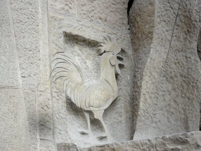 Gaudí sagrada familia cock