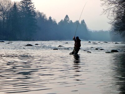 Fly fishing fish fishing rod
