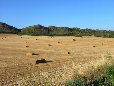 Field cereals straw bales