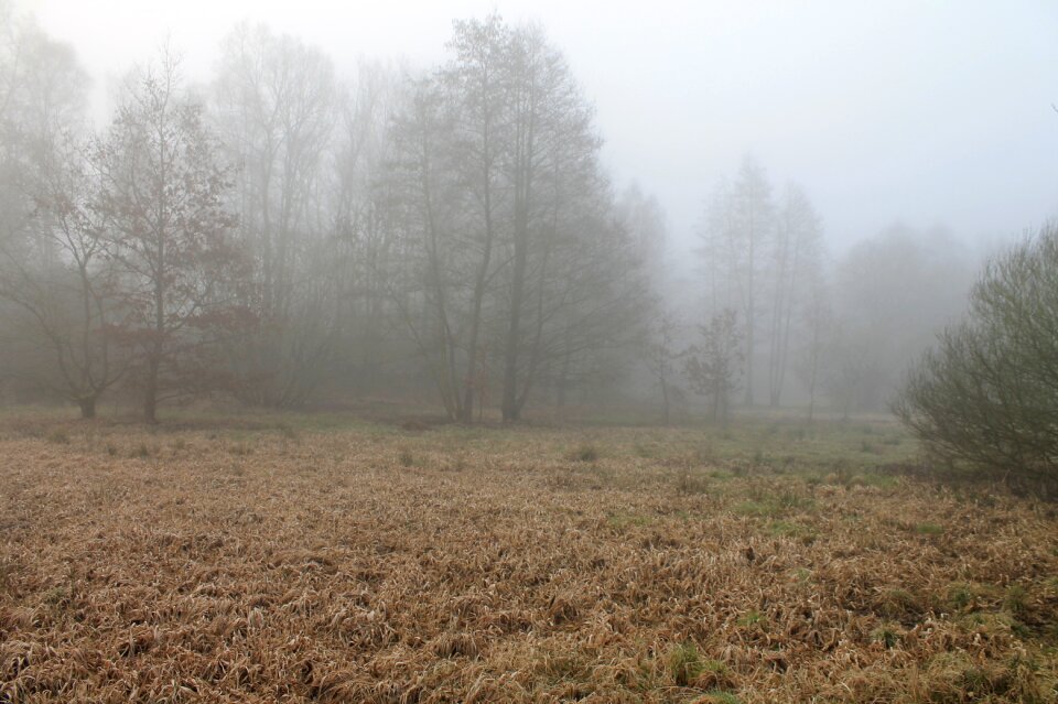 Haze herbsnebel autumn mood