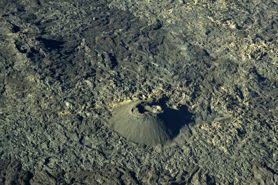 Meeting formica leo volcano
