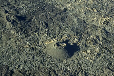 Meeting formica leo volcano