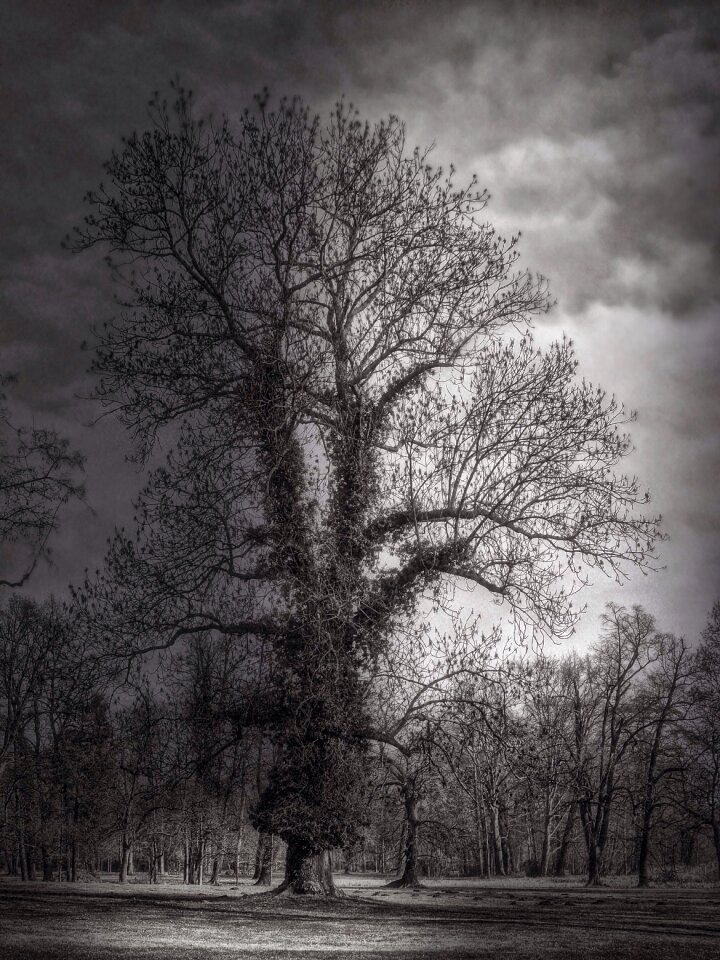 Dark branches atmosphere
